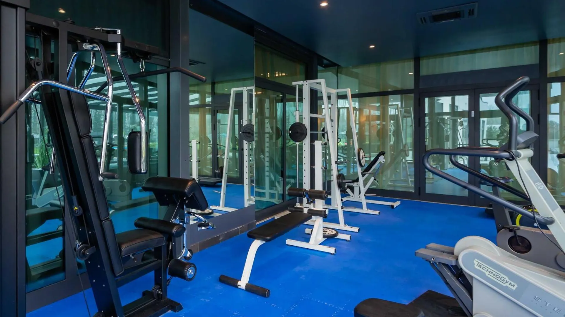 ****  Hotel ibis Styles Milano Est Settala Italia